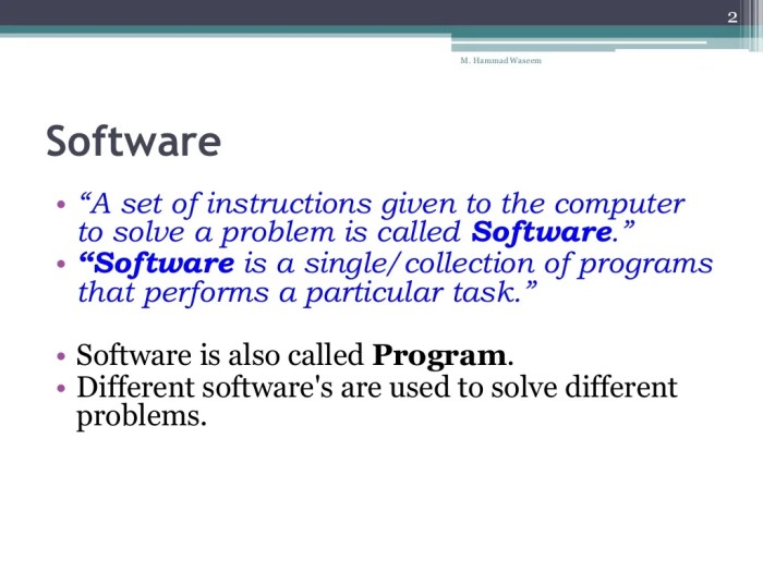 Software consists