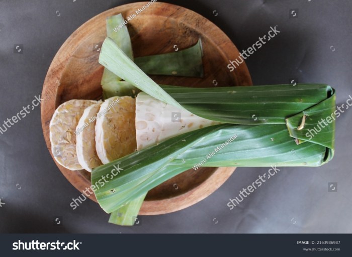 Fungsi ragi dalam pembuatan tempe