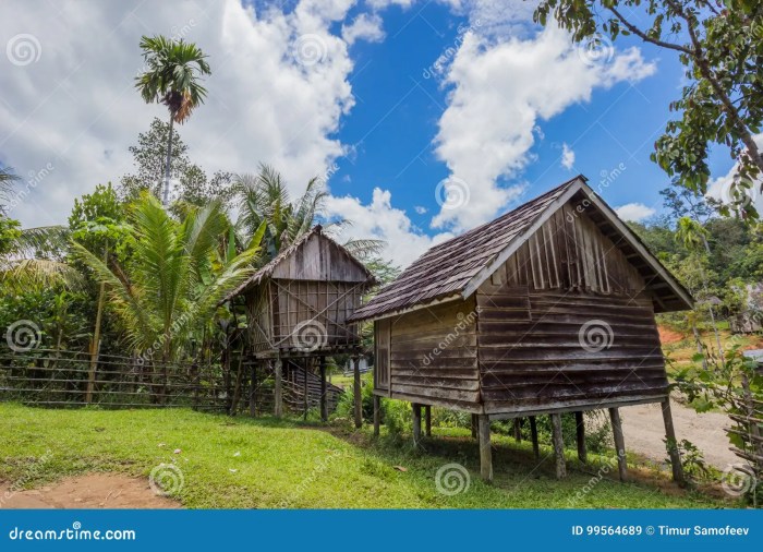 Indonesia rumah gadang houses traditional around world sumatra coolest