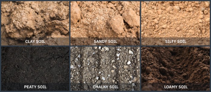 Soil types clay sandy loamy silt byjus