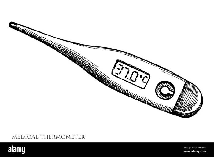 Termometer klinis adalah