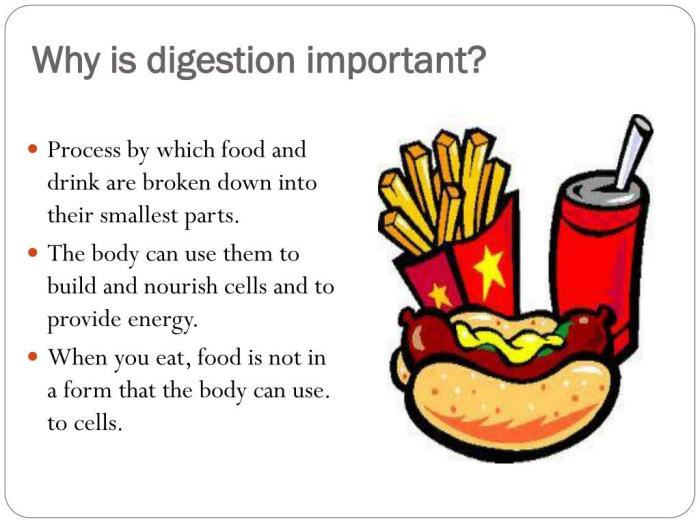 Digestive digestiva stange justin mr baja hemorragia